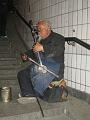 Peking (59)